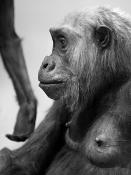 naturhistorisches museum basel 8-2022 4931-